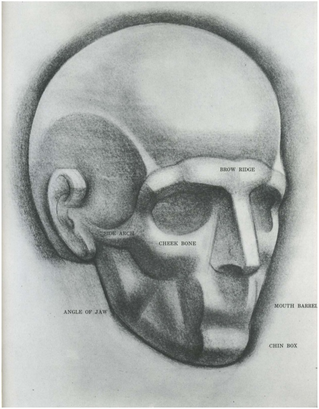 Burne Hogarth Drawing The Human Head Pdf Merger